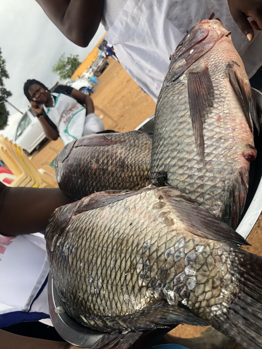 Busia Fishmongers hike price amidst scarce fish supply
