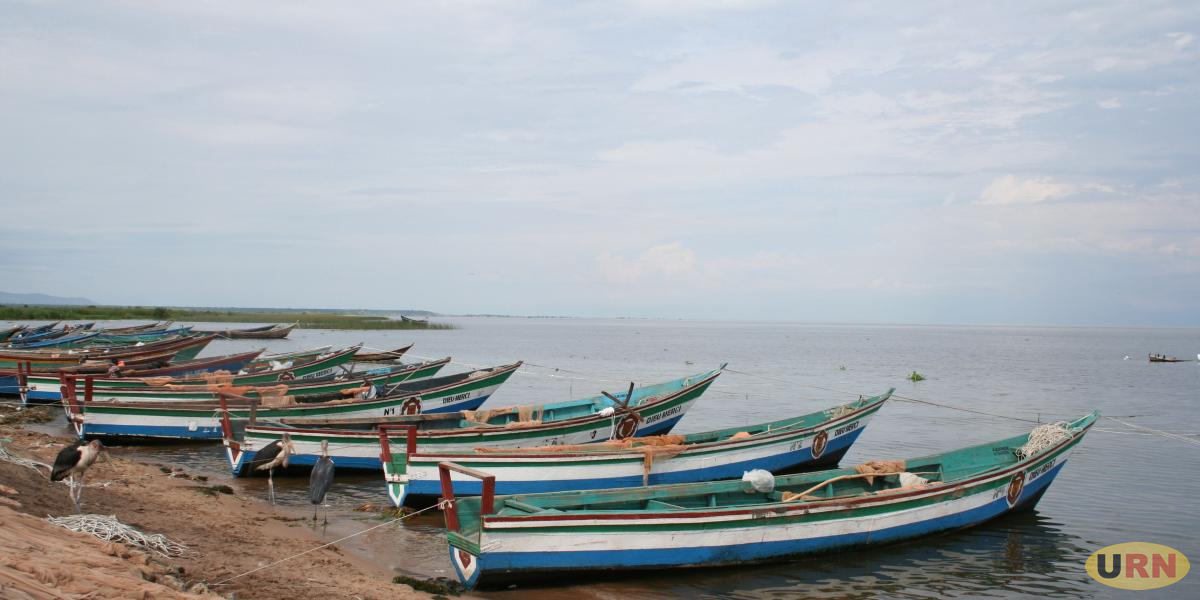 DRC Militia releases 16 Ugandan fishermen
