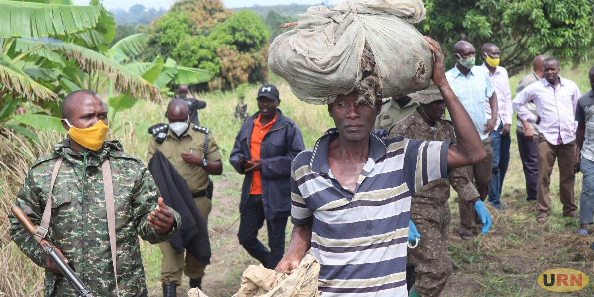 Suspects in Lions’ killing transferred to CID Headquarters