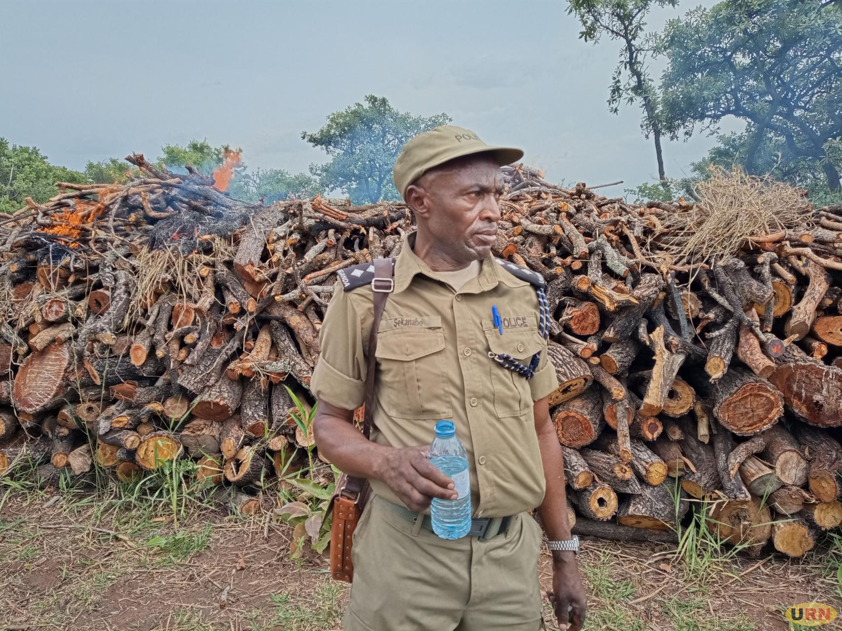 Pictorial: Inside illegal charcoal dealer’s camp in Gulu