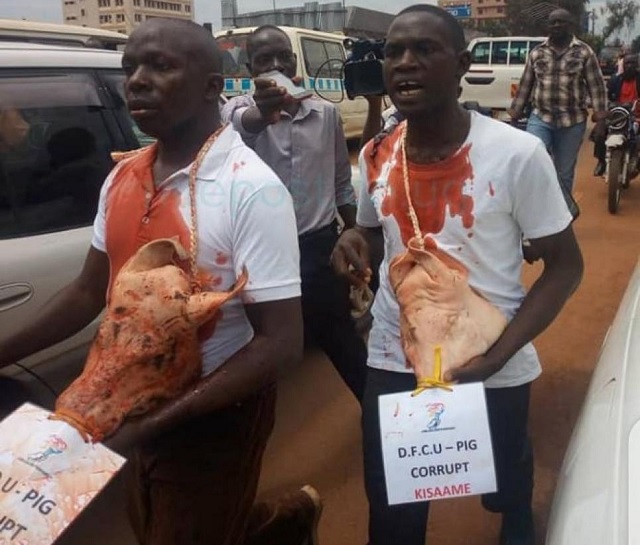 Criminal summons issued against jobless youth in piglets case