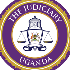 Constitutional court quashes pornography law