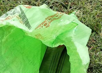 Machetes found at Nambooze’s home after alleged attack on MP