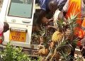 Ambulance driver in court for transporting pineapples