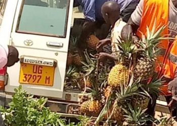 Ambulance driver in court for transporting pineapples