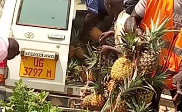 Ambulance driver in court for transporting pineapples