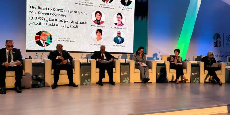 Dr Mahmoud shares thoughts on transitioning to a Green Economy”