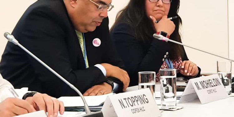 Dr Mahmoud Mohieldin participates in HLC session on climate resilience