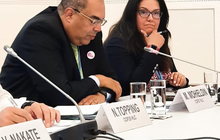 Dr Mahmoud Mohieldin participates in HLC session on climate resilience