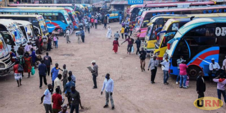 High fuel prices force half of Uganda’s buses off the road