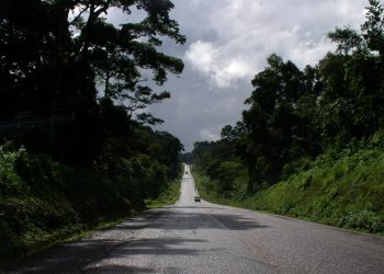 475 land titles listed for cancellation in bid to save Mabira, other forests