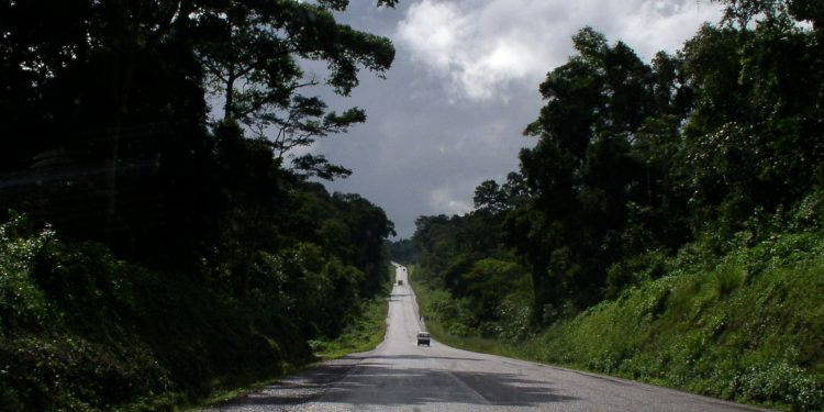 475 land titles listed for cancellation in bid to save Mabira, other forests