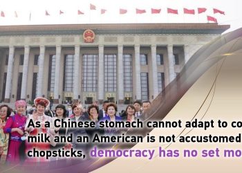 China a unique model of democracy for the world
