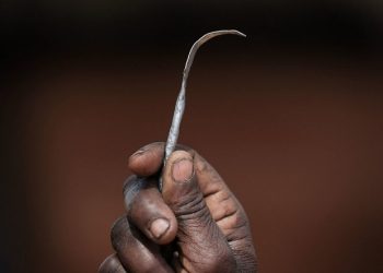 FGM cutter Convicted to 4years Imprisonment .