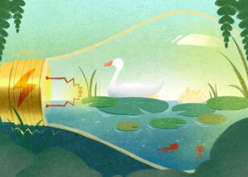 Beautiful China shows new chapter of ecological conservation