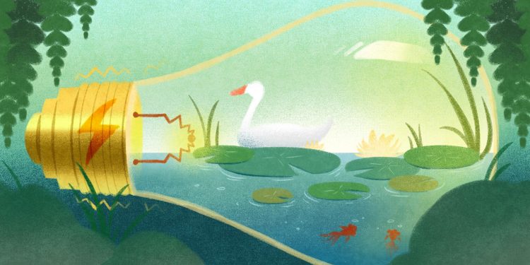 Beautiful China shows new chapter of ecological conservation