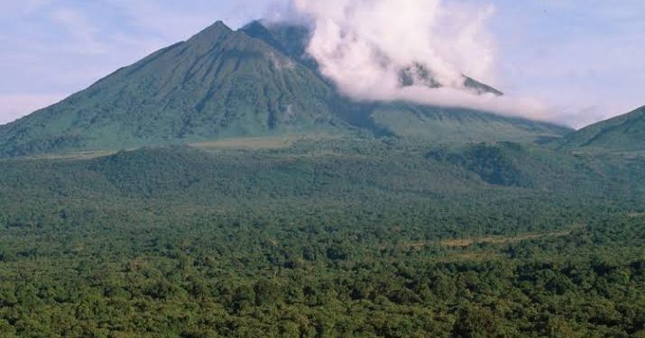 Attack near famed DR Congo Virunga reserve kills four