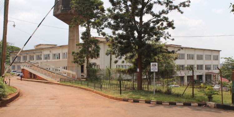 Senior Professor accused of influence peddling at Makerere college of veterinary medicine