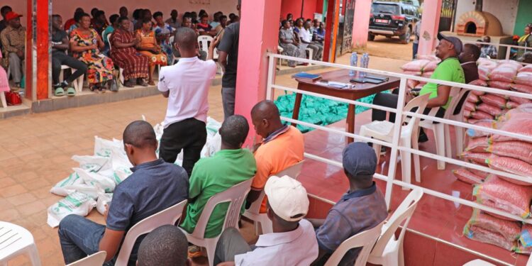 MP Rukaari tops performance list of 17 legislators from Ankole sub-region