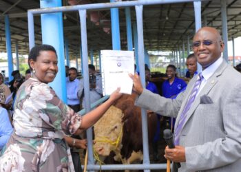 Minister launches NAGRC’s quality dairy bulls, calls public to buy them