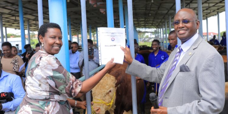 Minister launches NAGRC’s quality dairy bulls, calls public to buy them