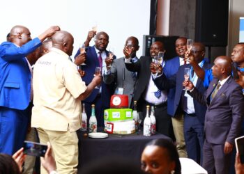 Ugandans in Southern Africa form team to promote trade and investment