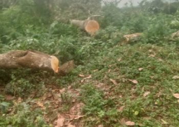Shock as Private security guards cock guns to block Entebbe Chief Magistrate From Reaching contested land.