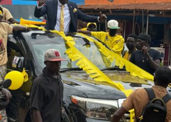 Parliamentary Nominations Bring Life To The Campaign Season