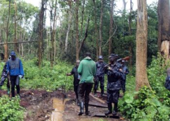 Tension in adjuman as settlers take over government forest.