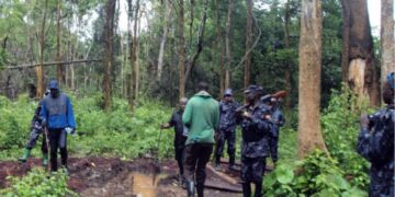 Tension in adjuman as settlers take over government forest.