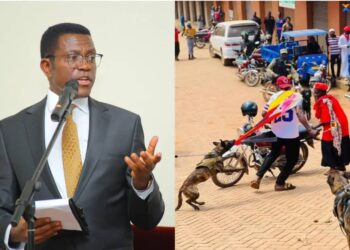 PM Mayiga condemn police brutality on NUP supporters.