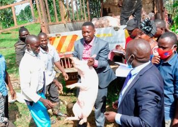 Kalungu LC5 chairman apologizes to Muslims for distributing pigs