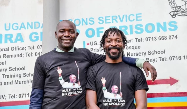 Lawyer Male Mabirizi released on remission terms