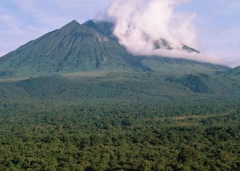 Attack near famed DR Congo Virunga reserve kills four