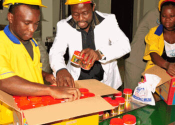 DNA: Two ministers, four tycoons top list of petitioners for cancellation of passports