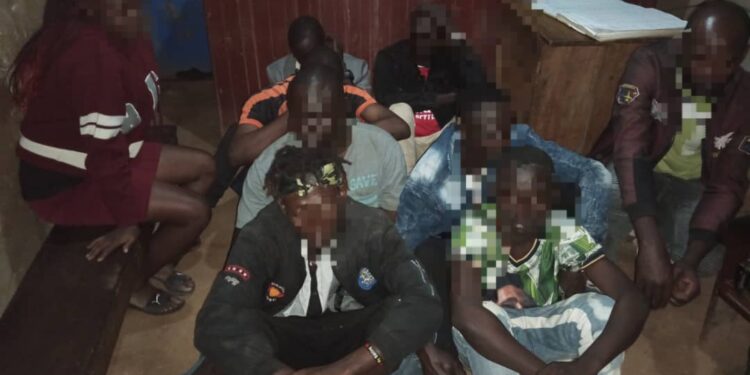 Nine arrested in city suburb for playing loud music